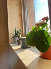 Gite passif Bois d'Aura, Fournets-Luisans (2023)